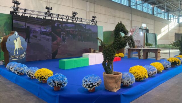 Allestimento completo fiera cavalli in cartone con statua del cavallo