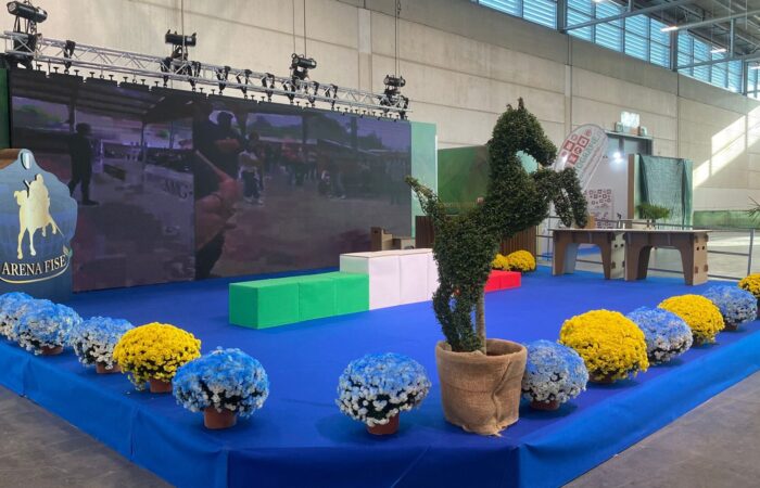 Allestimento completo fiera cavalli in cartone con statua del cavallo