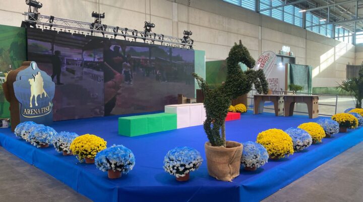 Allestimento completo fiera cavalli in cartone con statua del cavallo